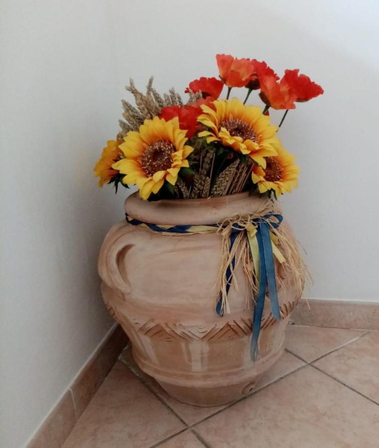 Piccione Marittimo Appartamento Vicinanze Mare Livorno Buitenkant foto